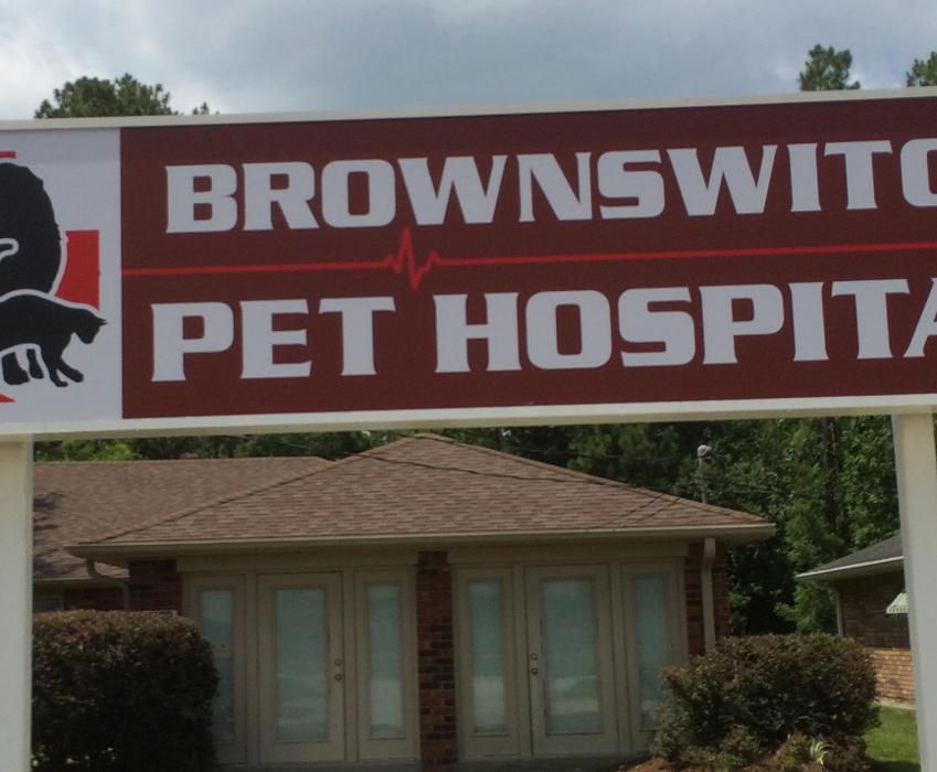 Brownswitch Pet Hospital