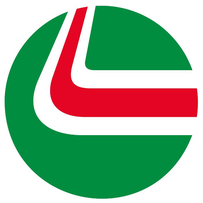 The Swedish Solution Inc