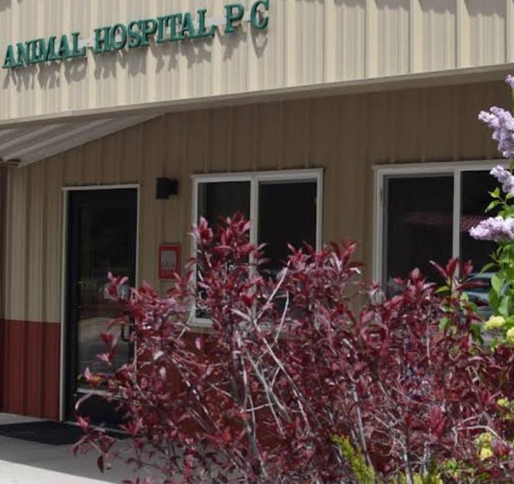 Alpine Animal Hospital