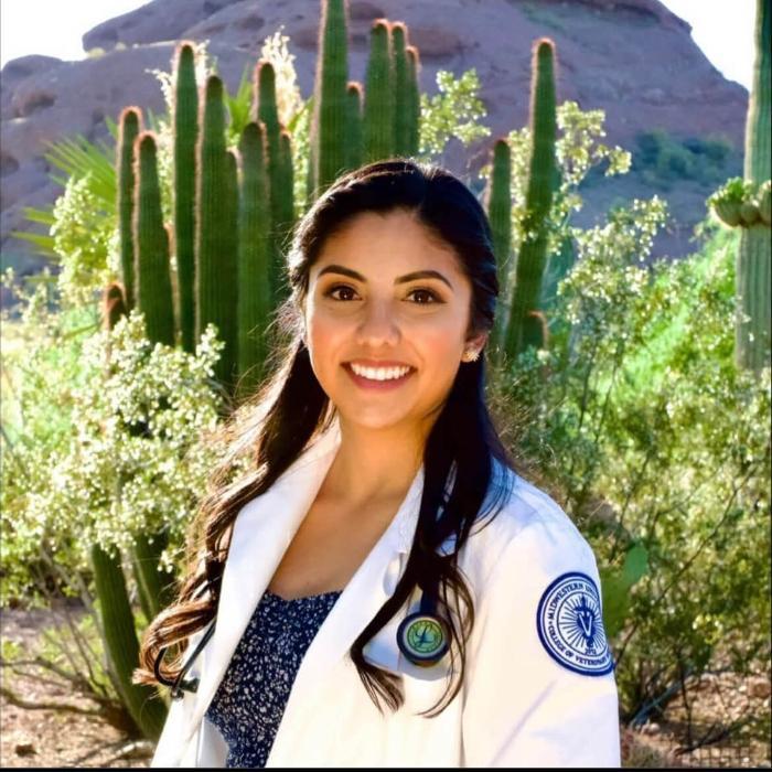 Stitch Veterinary Urgent Care and Surgery