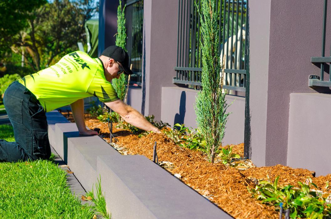 Fox Mowing & Gardening Canada Bay | Lawn Mowing and Gardening Maintenance #1 Lawn Services, Soft Landscaping