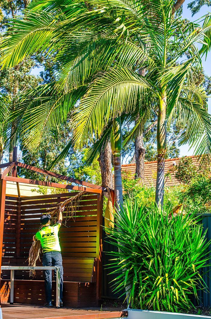 Fox Mowing & Gardening Richmond | Lawn Mowing and Gardening Maintenance #1 Lawn Services, Soft Landscaping