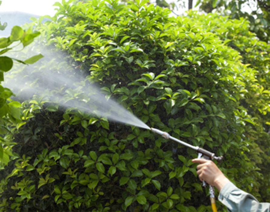 Fox Mowing & Gardening Kellyville | Lawn Mowing and Gardening Maintenance #1 Lawn Services, Soft Landscaping