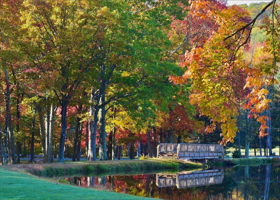 Brookdale Premier Addiction Recovery