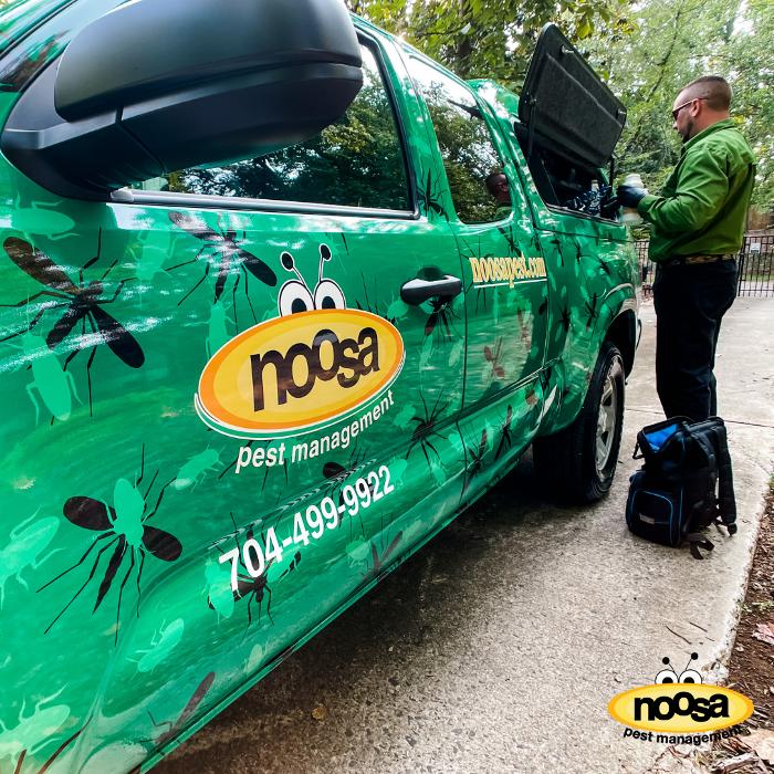 Noosa Pest Management LLC