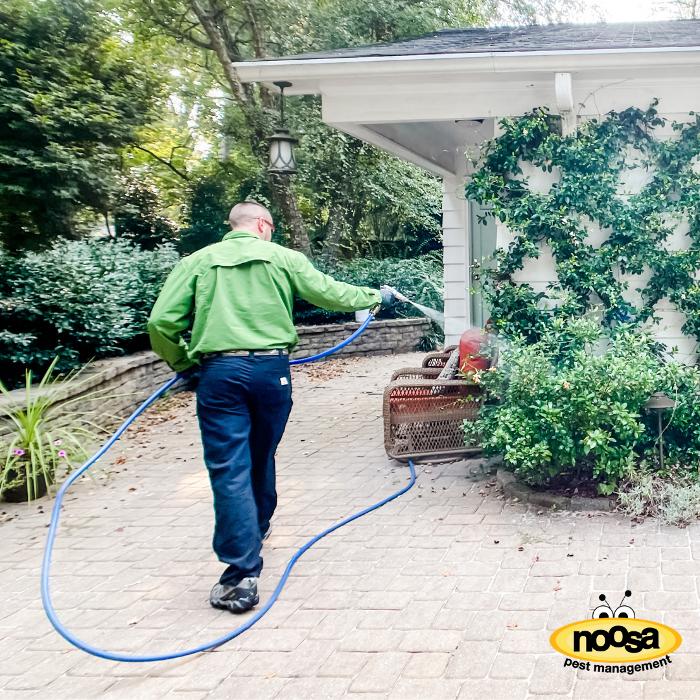 Noosa Pest Management LLC