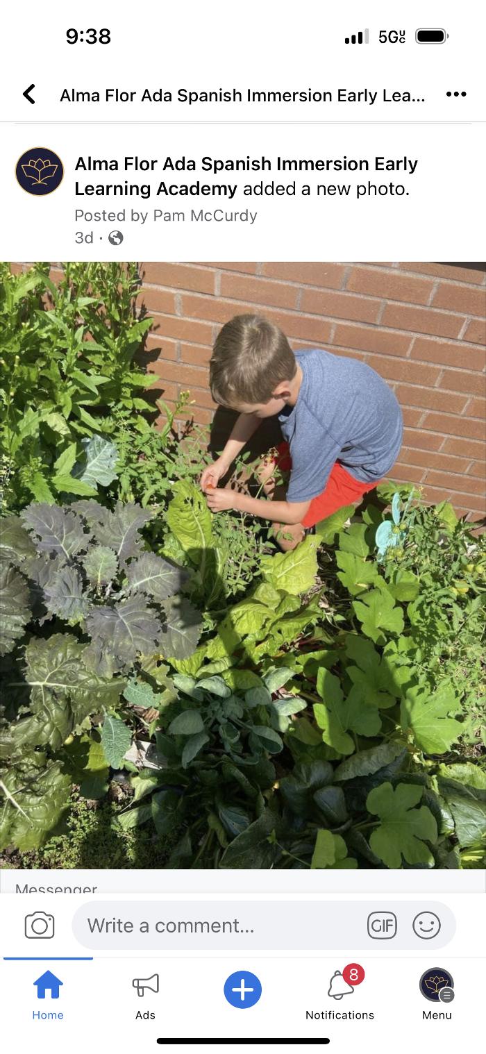 Alma Flor Ada Spanish Immersion Early Learning Academy