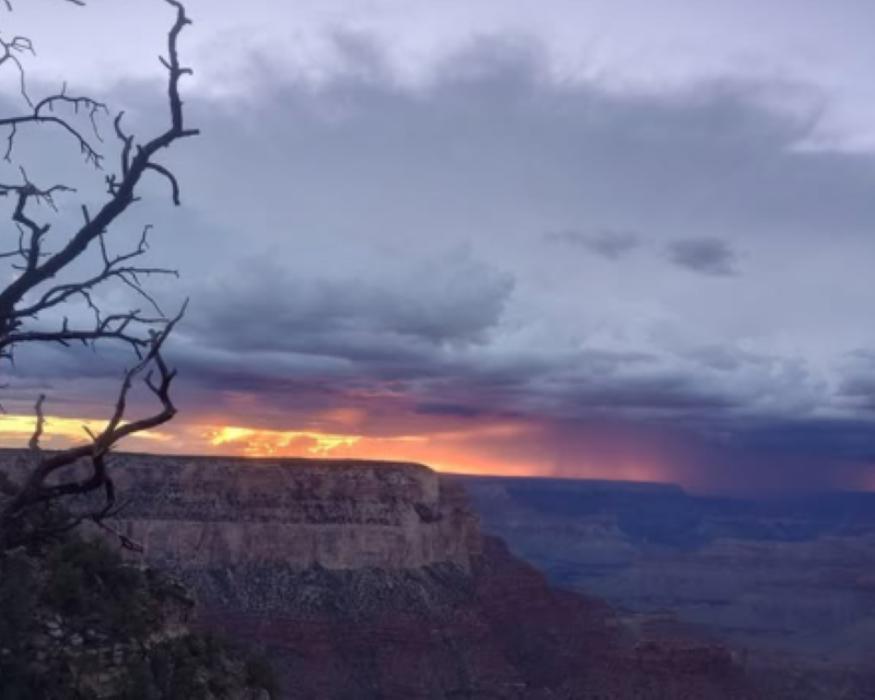 Buck Wild Hummer Tours