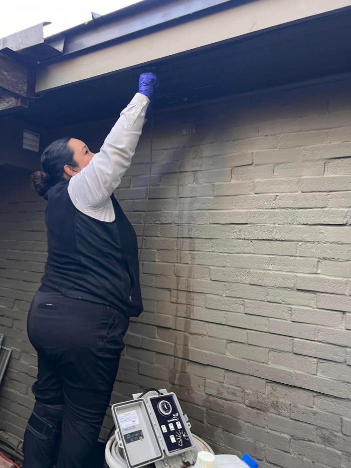 SafeHaven Pest Control