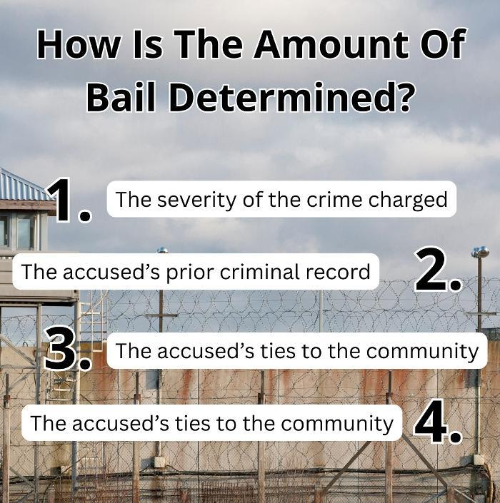 The Bail Boys Bail Bonds