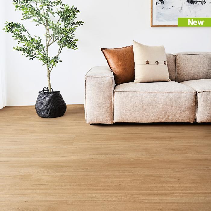 Andersens Goondiwindi