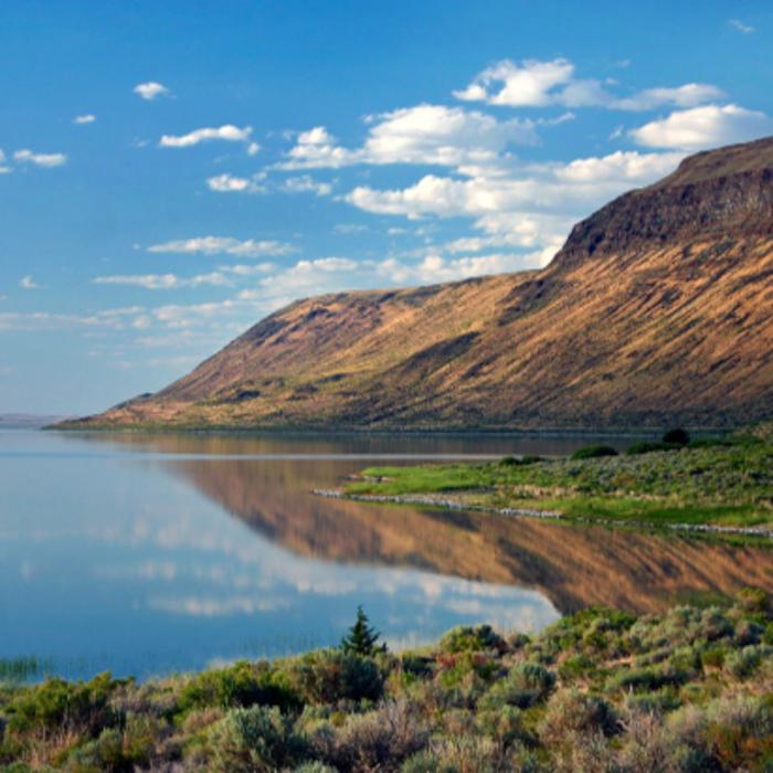 Mile-High Trailer and RV Park