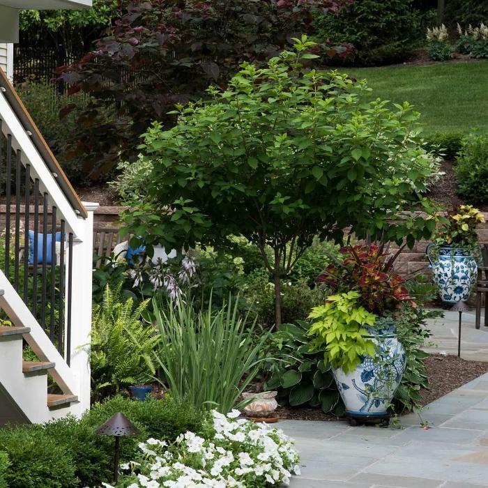 Distinctive Lawn & Landscape