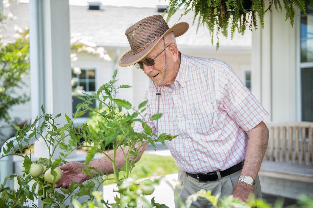 Dominion Senior Living of Athens