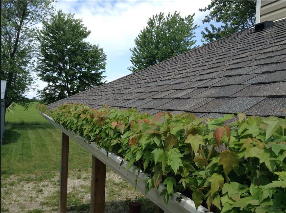 Squares Seamless Inc