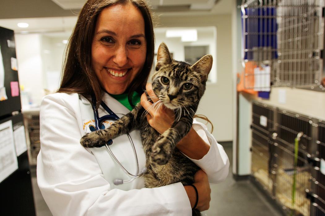 Pure Paws Veterinary Care of Hell's Kitchen