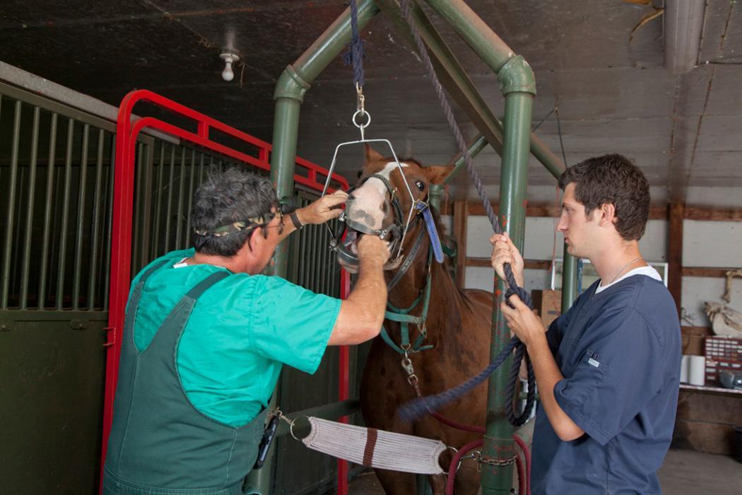 Spoon River Animal Clinic