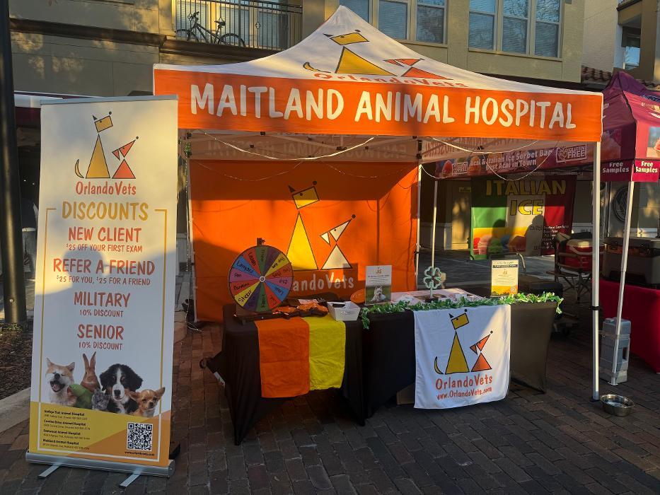 Maitland Animal Hospital