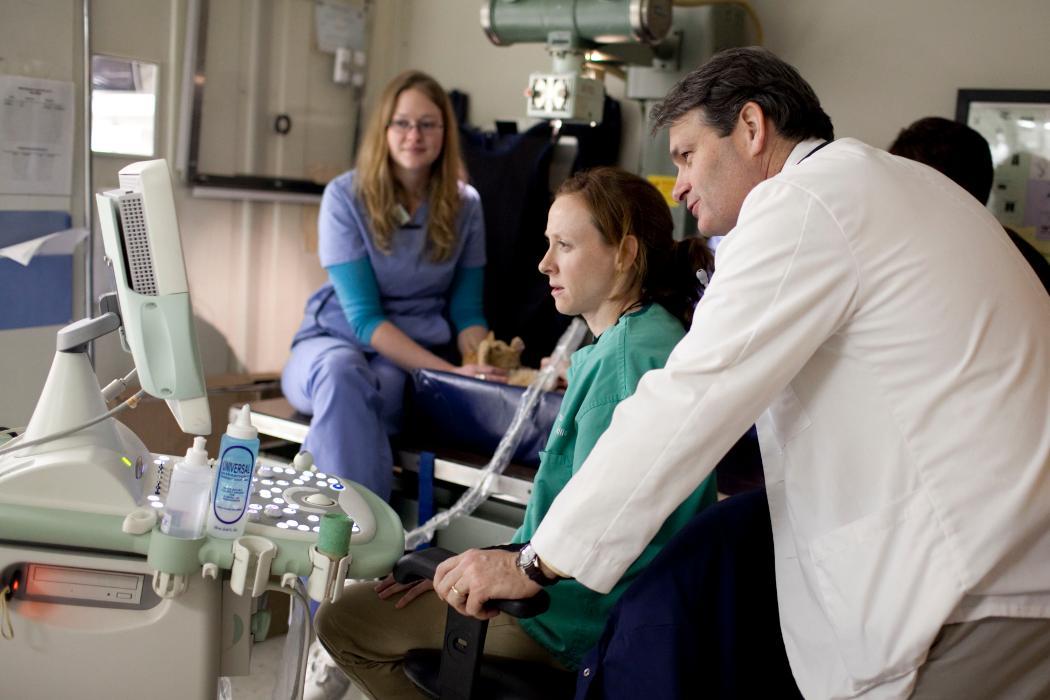 Ellicott Street Animal Hospital