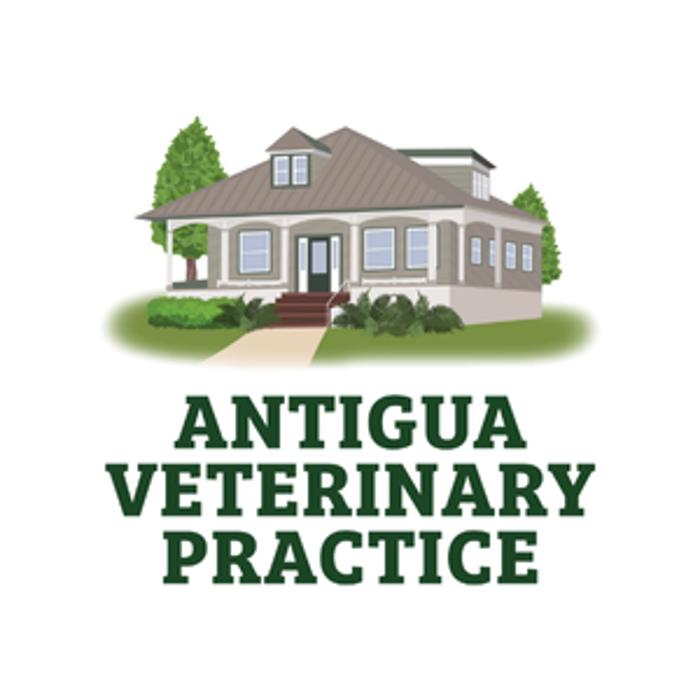 Antigua Veterinary Practice