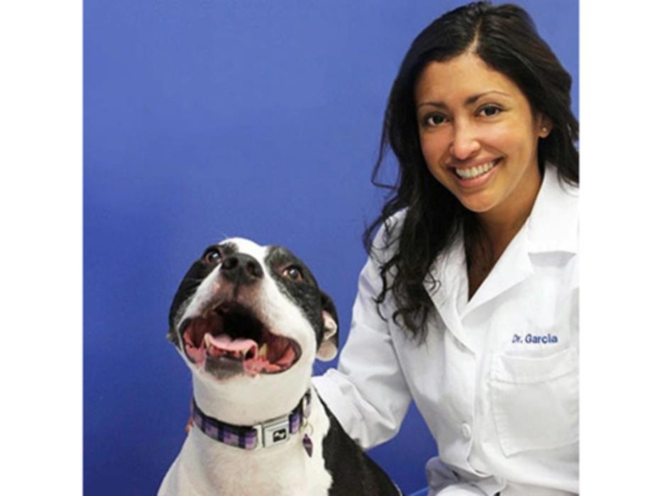 Caring Hands Animal Hospital - Arlington