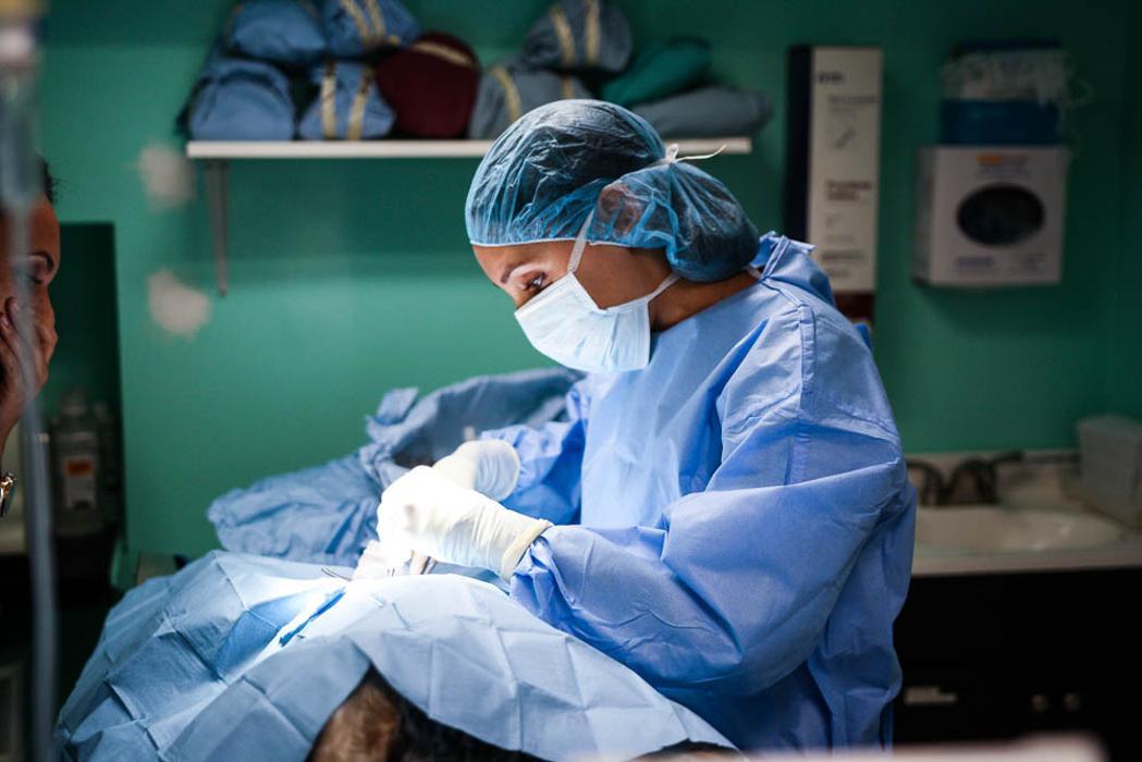 Pure Paws Veterinary Care of Clinton Hill