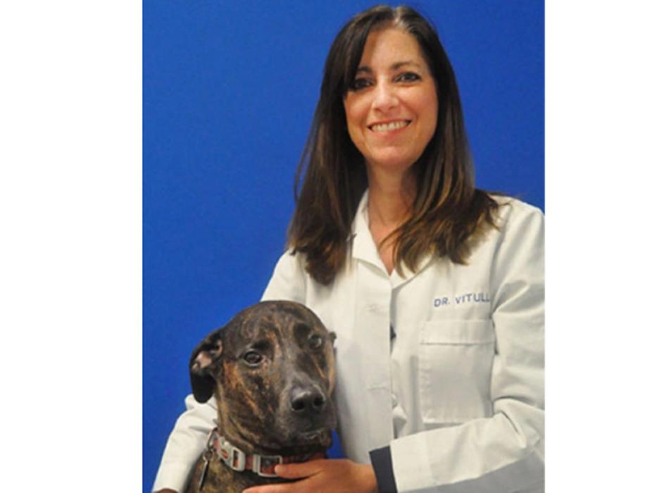 Caring Hands Animal Hospital - Alexandria