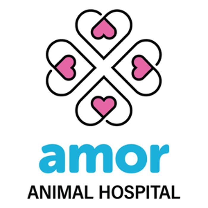 Amor Animal Hospital