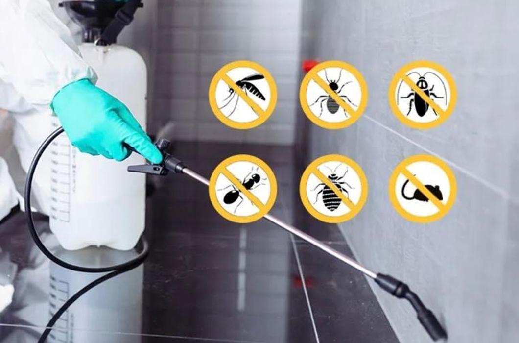 Eastside Pest Control Vancouver