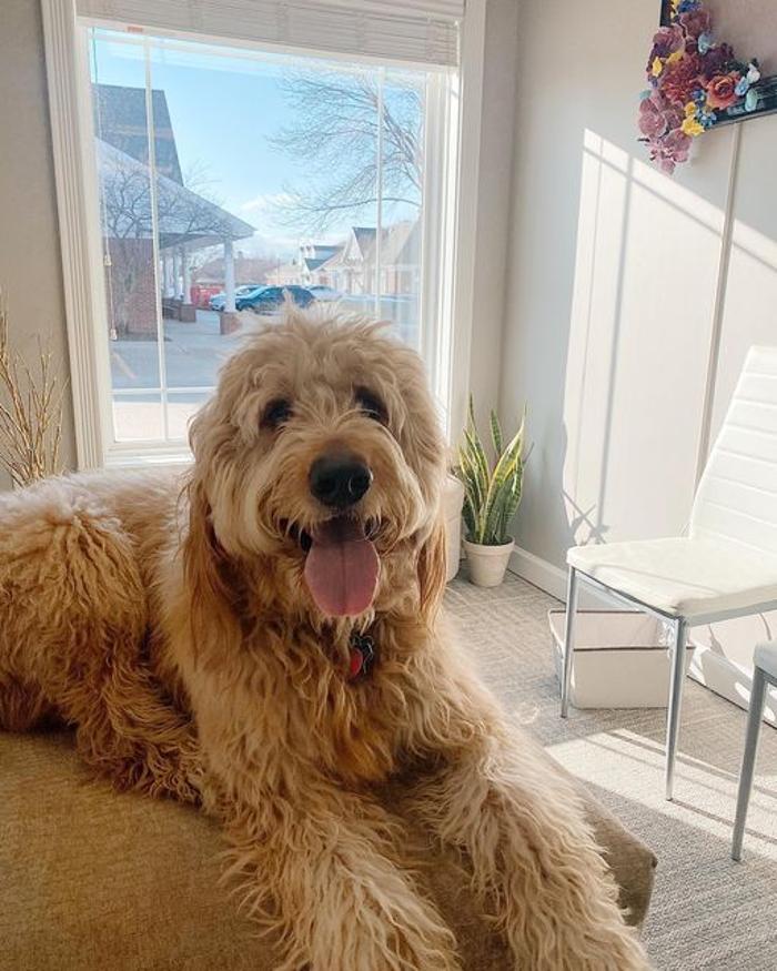 Asuta Health - Lincoln