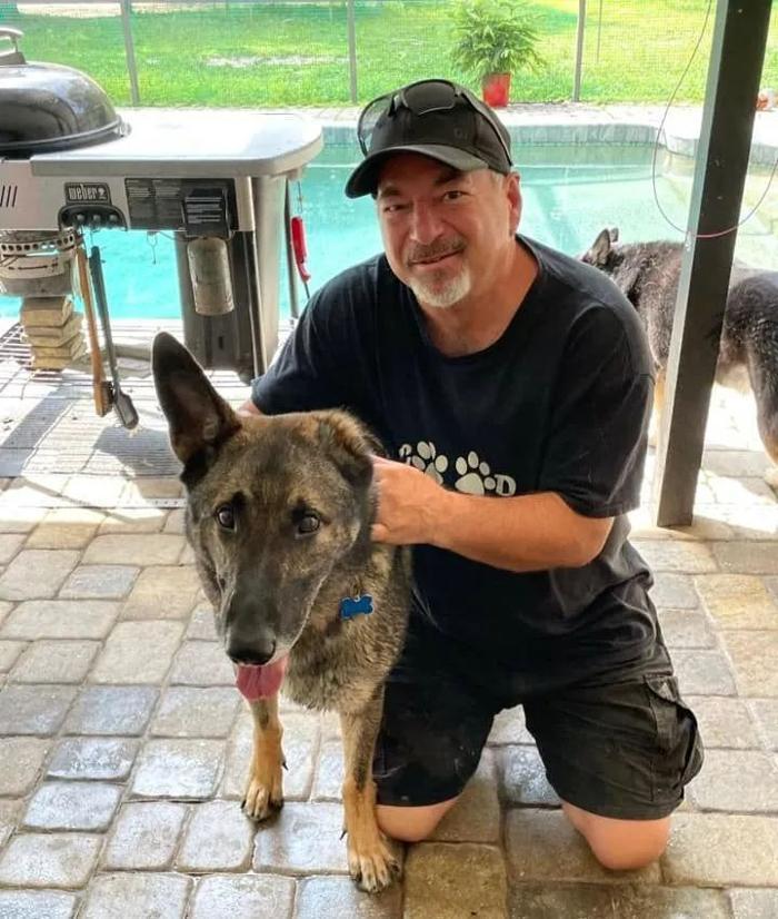 Good Dawg Dog Training