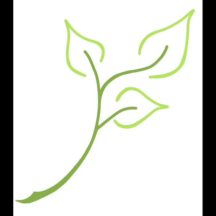 The ENT & Allergy Centers of Texas | Carrollton