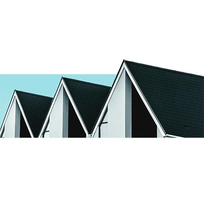 Daniel Roofing & Construction