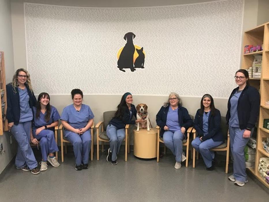 Geist Pet Wellness Clinic