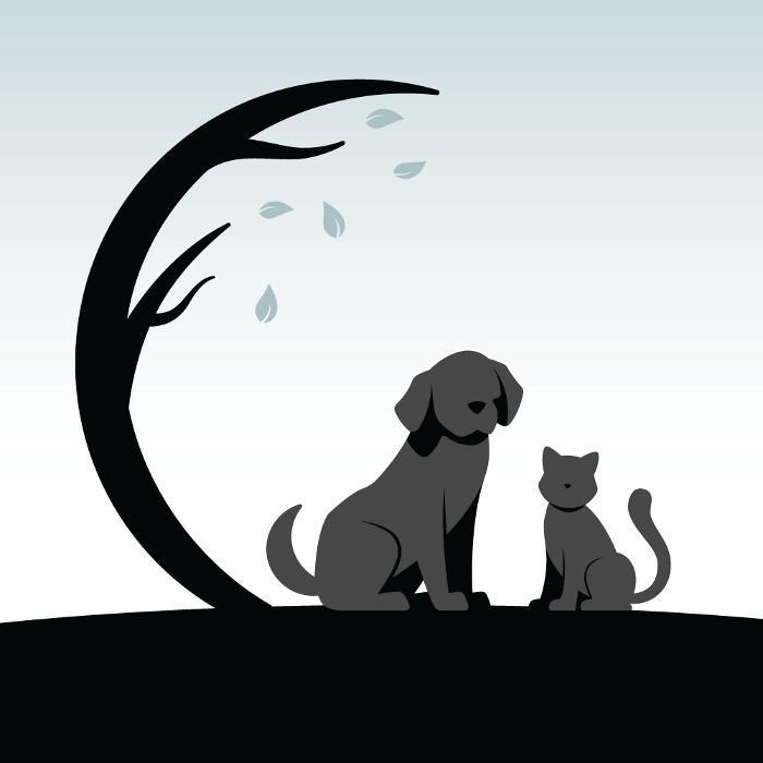 Coventry Veterinary Clinic