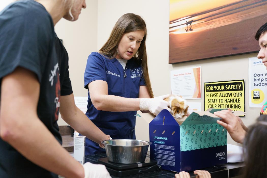 Skyline Veterinary Clinic