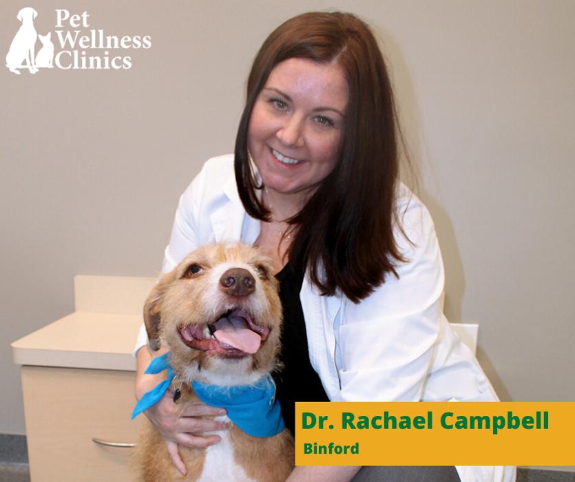 Binford Pet Wellness Clinic