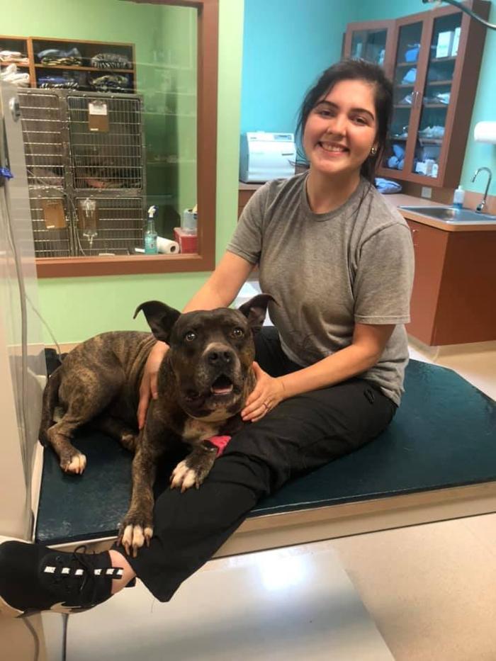 Wellspring Animal Hospital