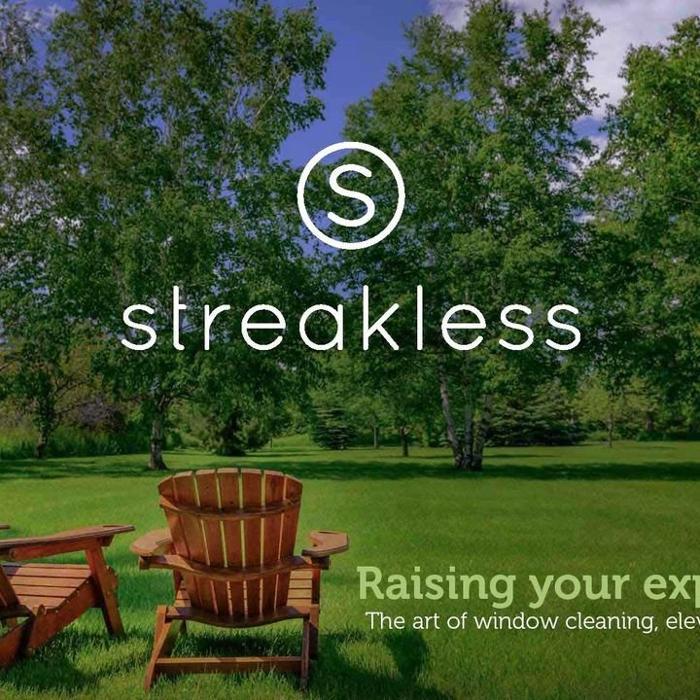 Streakless Window & Gutter Cleaning