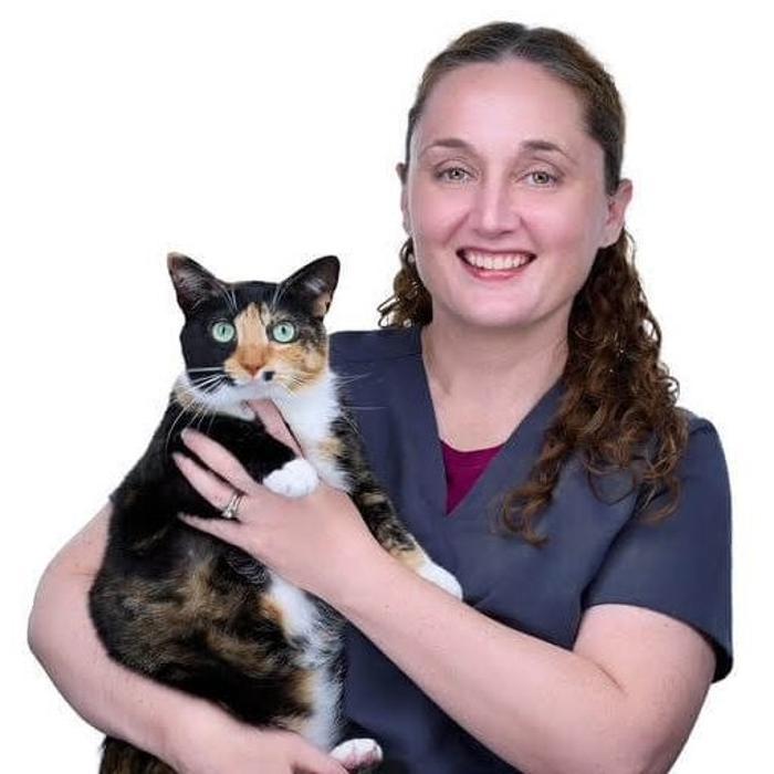 Main Line Feline Veterinary Clinic
