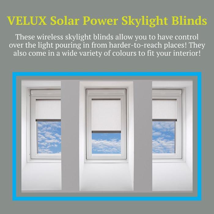 Clera Windows + Doors Concord