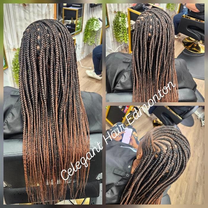 Celegant Hair Edmonton