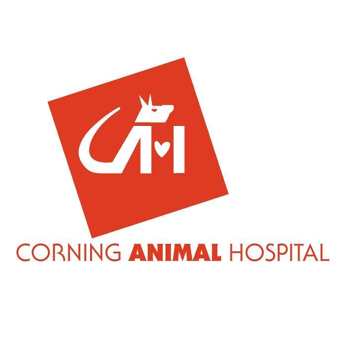 Corning Animal Hospital