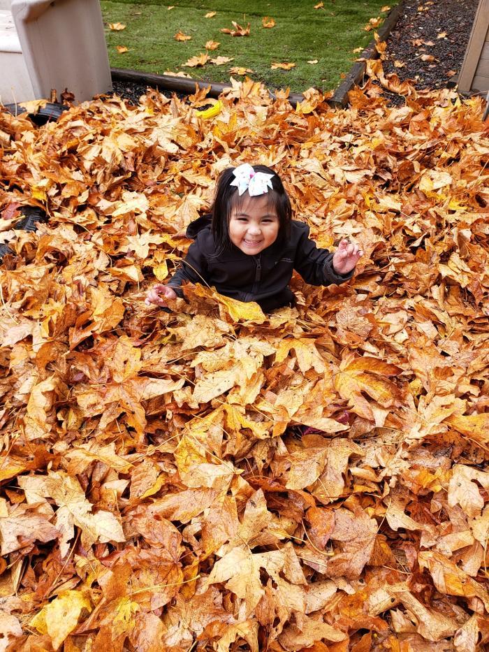 View Royal Child Care