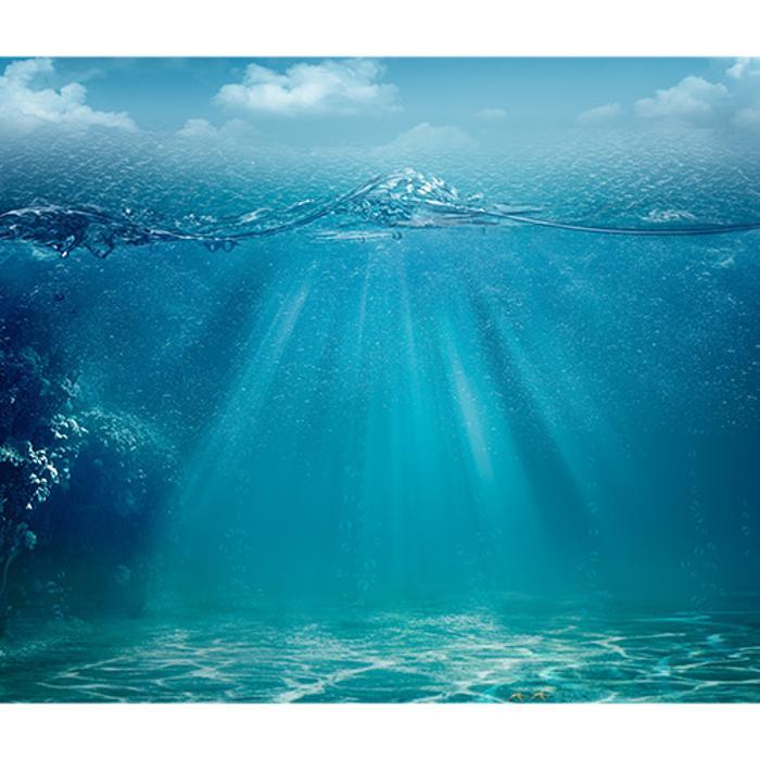 So Cal Aquatic Life Service, Inc.