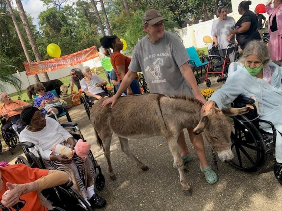 Orange City Nursing and Rehab Center