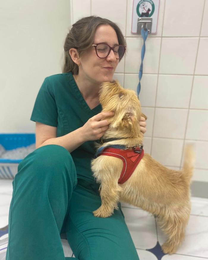 Streatham Hill Veterinary Surgery