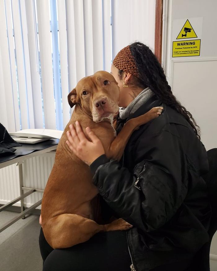 Mayow Veterinary Surgery