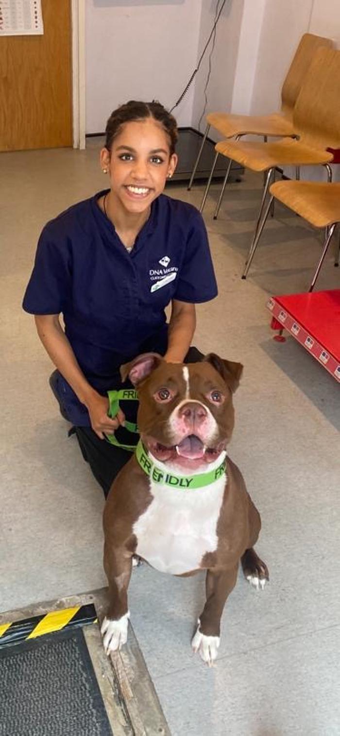 Grove Park Veterinary Clinic