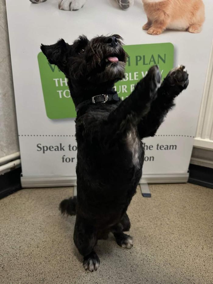 Mead Veterinary Centre